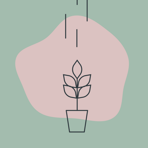 Drawing of a plant growing